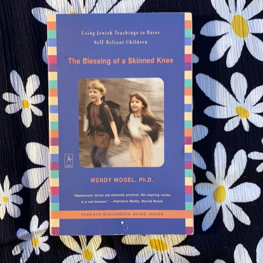 Parenting book: The Blessing of a Skinned Knee